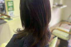 IMG-1729